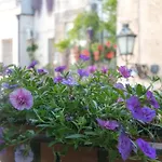 Palazzo Caminanti - B&B