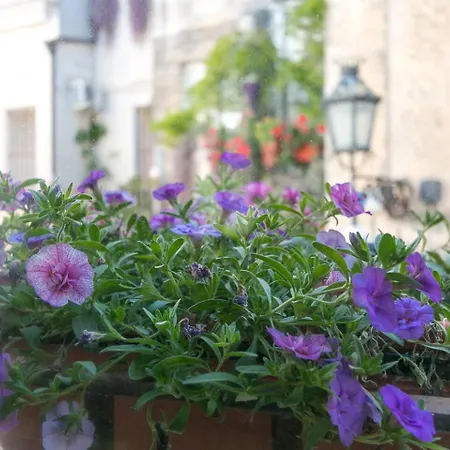 Caminanti Bed & Breakfast