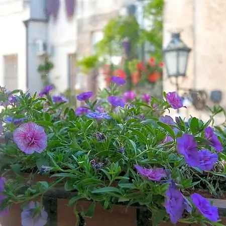 Palazzo Caminanti - Bed & Breakfast Lecce