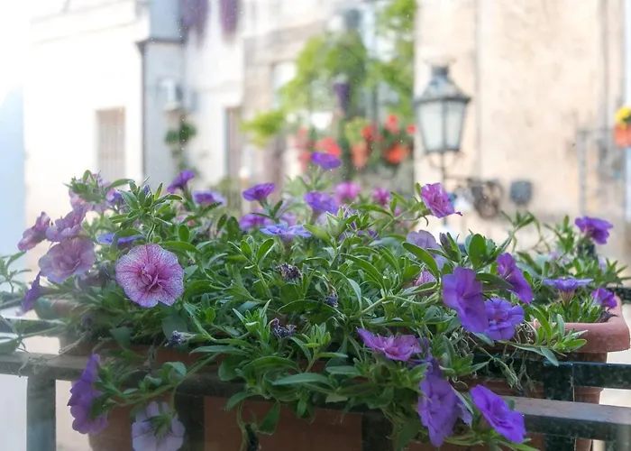 Caminanti Oda ve Kahvaltı